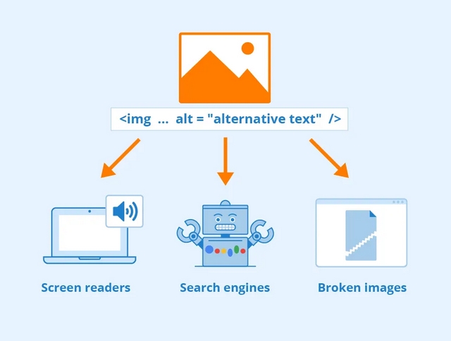 Thêm Alt text, tối ưu hình ảnh là cơ hội tốt để có thể tăng hiệu quả SEO