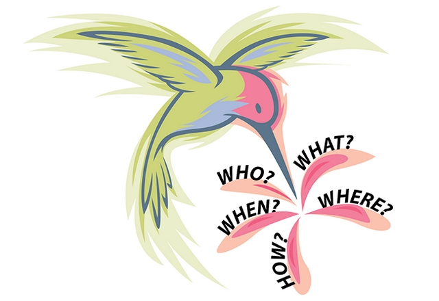 Cách thức hoạt động của Google HummingBird là gì với SEO?
