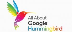 Google HummingBird là gì?