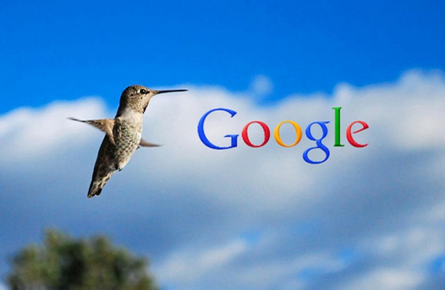 Tại sao lại gọi là Google HummingBird (chim mồi)?
