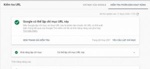 Ảnh 1: Kết quả kiểm tra Google Index qua Webmaster Tool