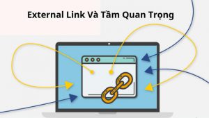 External Link là gì? Tuyệt chiêu đặt link out để bật top xếp hạng website