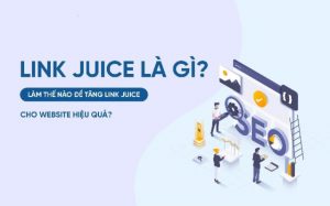 Link juice là gì? Tuyệt chiêu tối ưu hóa Link juice hiệu quả nhất