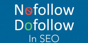 Nofollow, Dofollow là gì, làm sao để nhận biết? Dofollow, Nofollow cái nào tốt hơn?